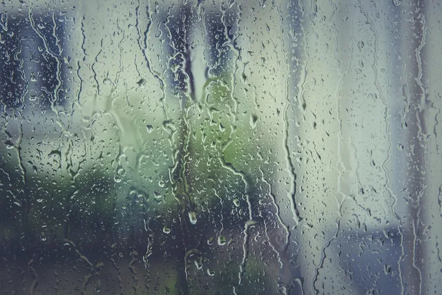 rain stoppers, mac wallpaper, beautiful wallpaper, water, hd wallpaper, window pane, drip, drop of water, wallpaper hd, free background, free wallpaper, nature wallpaper, full hd wallpaper, wet, 4k wallpaper, wallpaper 4k, fogging, condensation, nature background, window, rain, 4k wallpaper 1920x1080, spray, laptop wallpaper, structure, windows wallpaper, liquid, nature, cool backgrounds, transparent, moisture, desktop backgrounds, beautiful nature, wallpaper, zoom background. Post-shoot care for studio equipment in Scotland and Wales